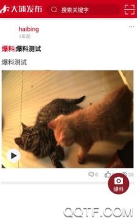 大埔发布[图3]
