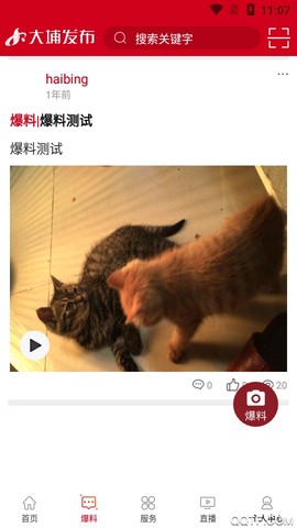 大埔发布图2