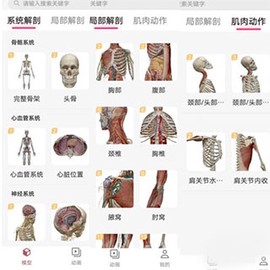 3dbody解剖app[图1]