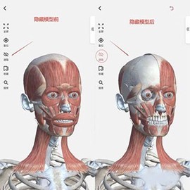 3dbody解剖app[图2]