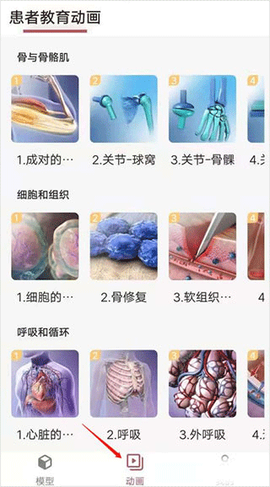 3dbody解剖app[图3]