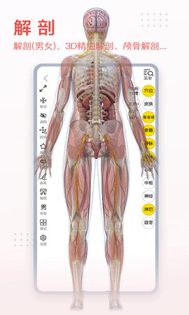 3dbody解剖app图1