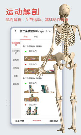 3dbody解剖app图2