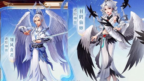 问道手游问羽是什么[图1]