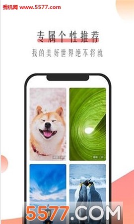 米柚壁纸图1