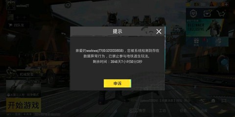 绝地求生封号什么样[图2]