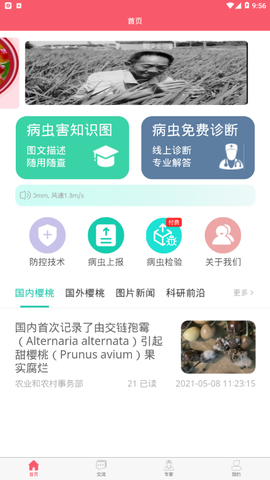 樱桃医生图3