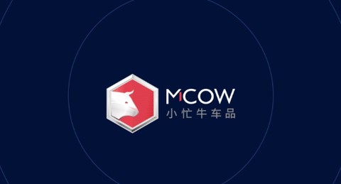 小忙牛控车[图4]