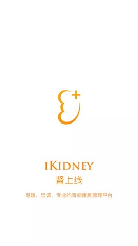 肾上线图1