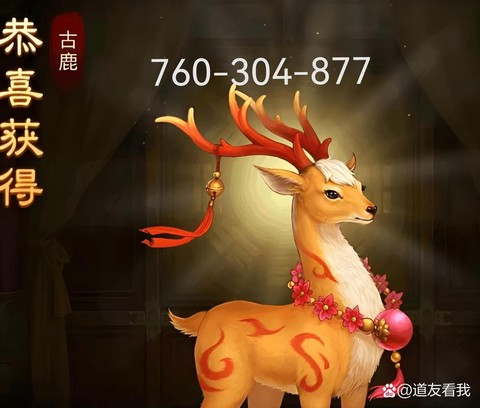 问道手游什么坐骑好[图2]