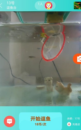 小猫逗鱼[图1]