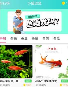 小猫逗鱼[图2]