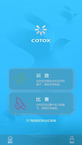 中国信鸽比赛图1