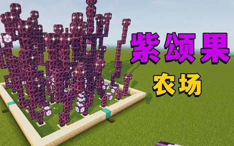 我的世界紫颂果怎么种