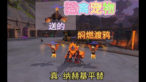 魔兽世界的宠物有什么用