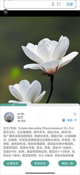 识花君[图4]