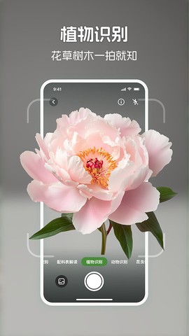 识花君图3