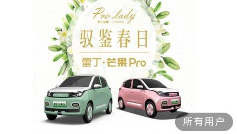 雷丁汽车[图1]