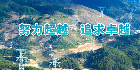 网上国网[图1]