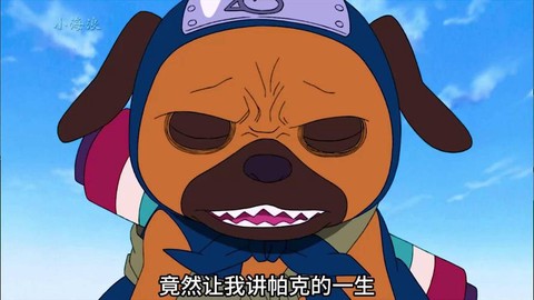 火影忍者帕克是什么狗
