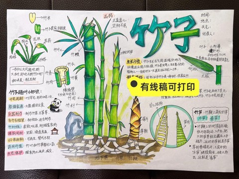 迷你世界怎么种竹子树[图2]
