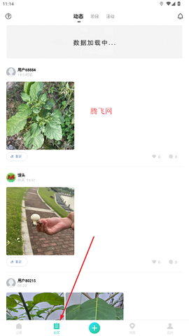 生命观察[图4]