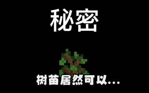 我的世界树苗怎么长大