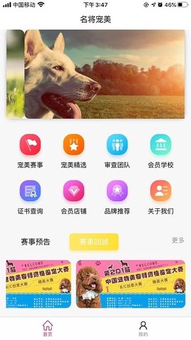 宠美会员[图1]