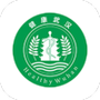 健康武汉