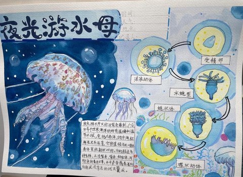 迷你世界水母怎么来的