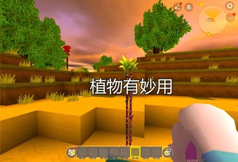 迷你世界怎么升级植物