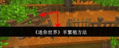 迷你世界怎么让羊繁殖[图1]