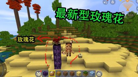 迷你世界怎么刷玫瑰