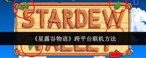 露星谷物语怎么联机