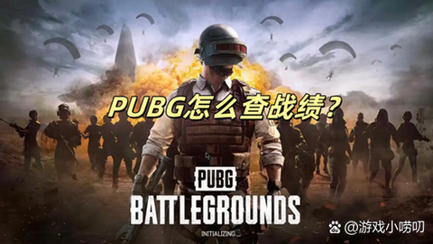 绝地求生怎么查看分数[图2]