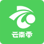 云南季