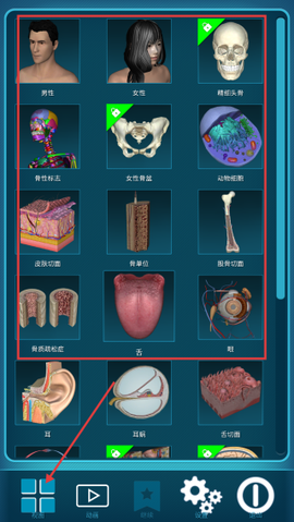 人体解剖学图集[图1]