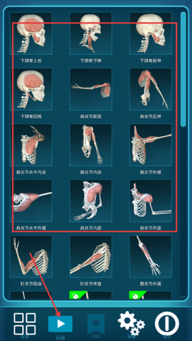 人体解剖学图集[图2]