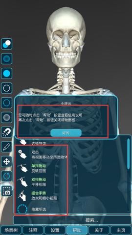 人体解剖学图集[图3]