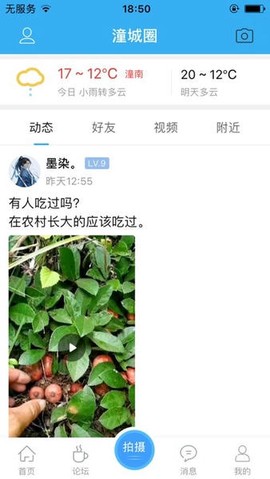 潼南论坛[图1]