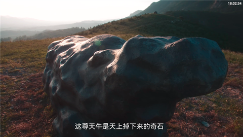 畅常看4K[图12]
