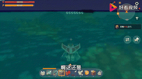 迷你世界上鱼吃什么