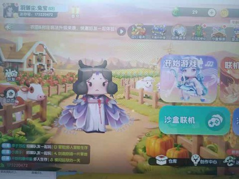 迷你世界迷你号是什么