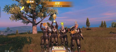绝地求生怎么组队友[图2]