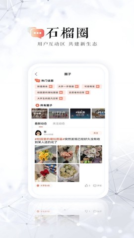 石榴云图3