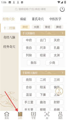 中医经络穴位[图3]