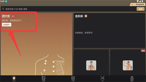 中医经络穴位[图6]
