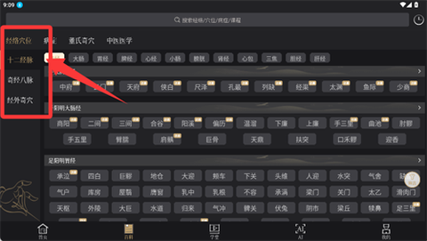中医经络穴位[图7]