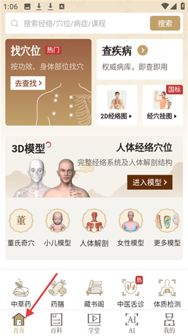 中医经络穴位图2