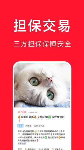 宠物宝[图3]